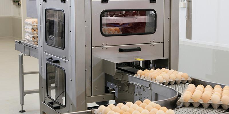 30 egg tray destacker