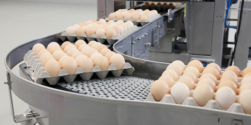 30 egg tray destacker