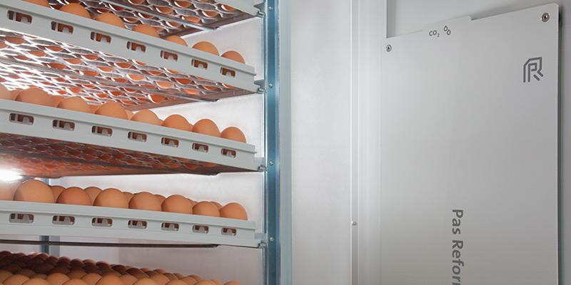 Adaptive Metabolic Feedback™