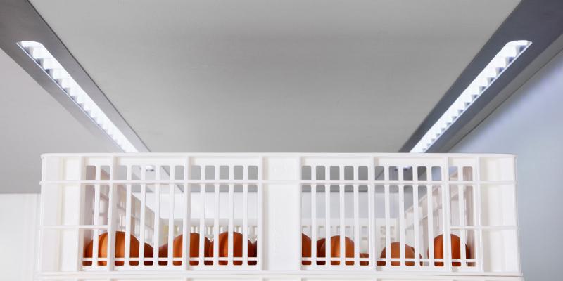 Nacedora SmartStart™