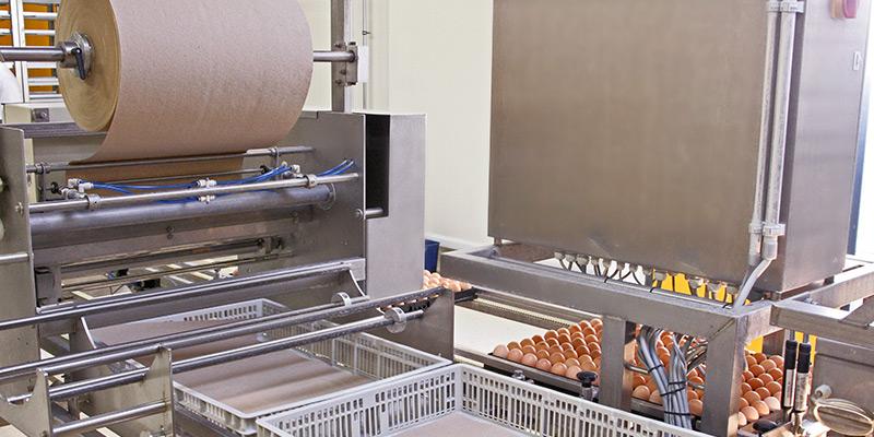 Automatic paper cutting unit