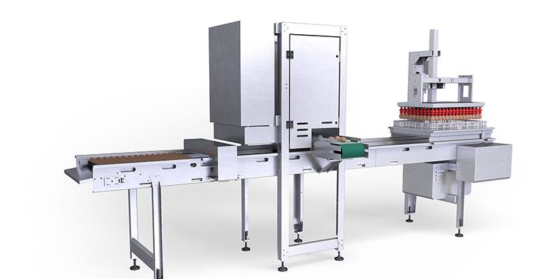 Candling, take-out and transfer system