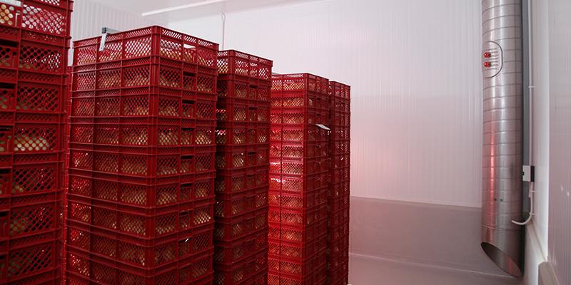Climate control system - Chick holding room