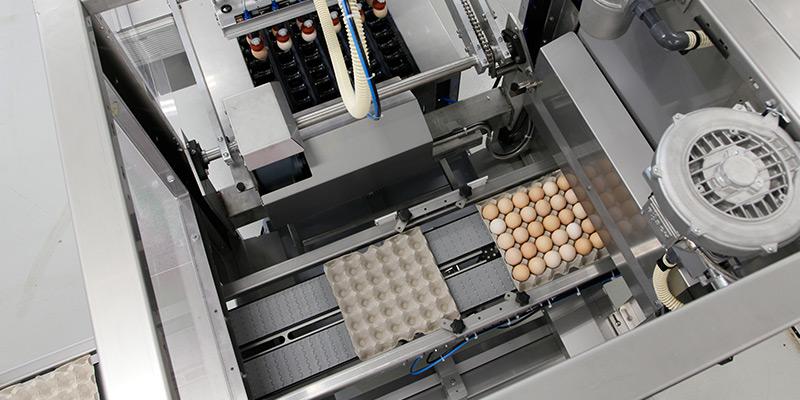 Система загрузки яйца