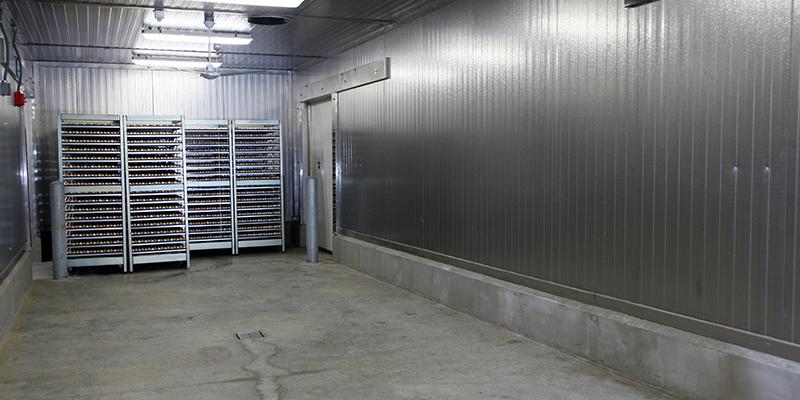 Conjunto de fumigação para desinfecção