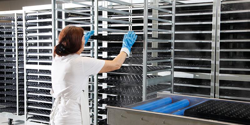 Мойка инкубационных лотков