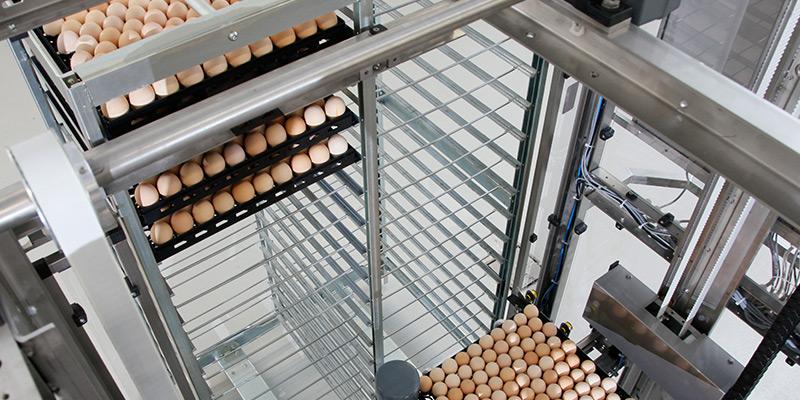 Carregador de carros de incubação