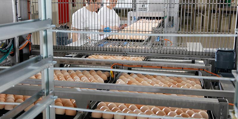 Setter trolley unloader