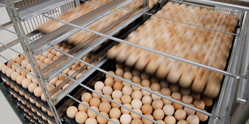 Setter trolley unloader