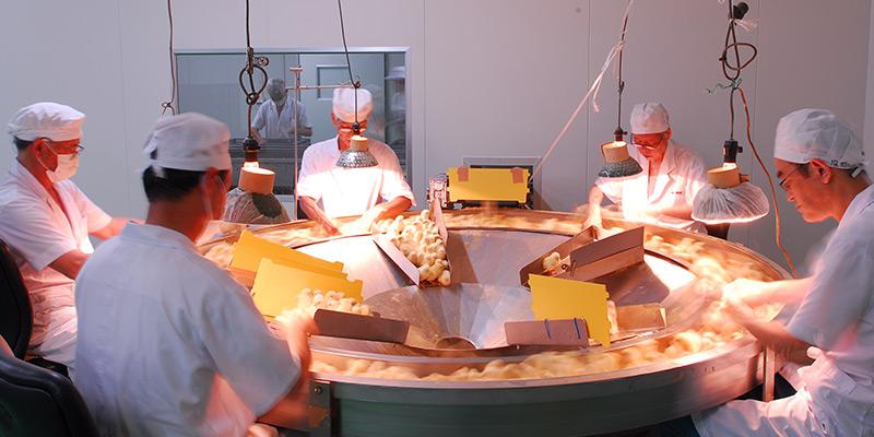 雌雄鉴别旋转盘