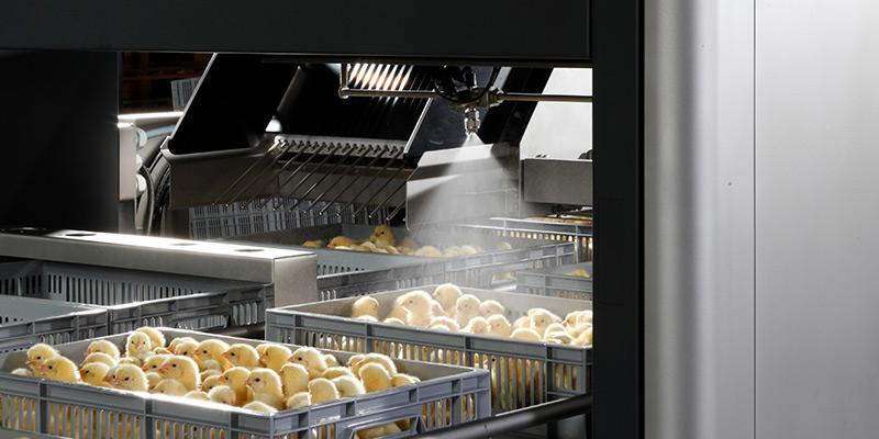 SmartCount™ spray vaccinator