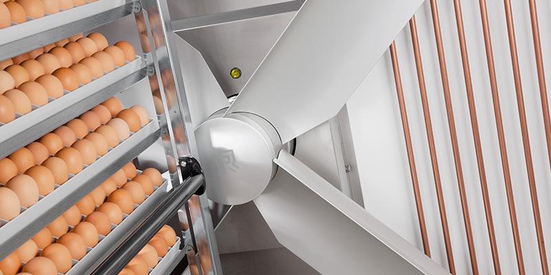 Incubadora SmartSetPro™ corredor