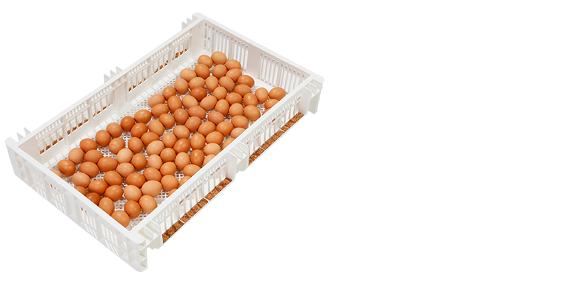 SmartStart™ hatcher basket