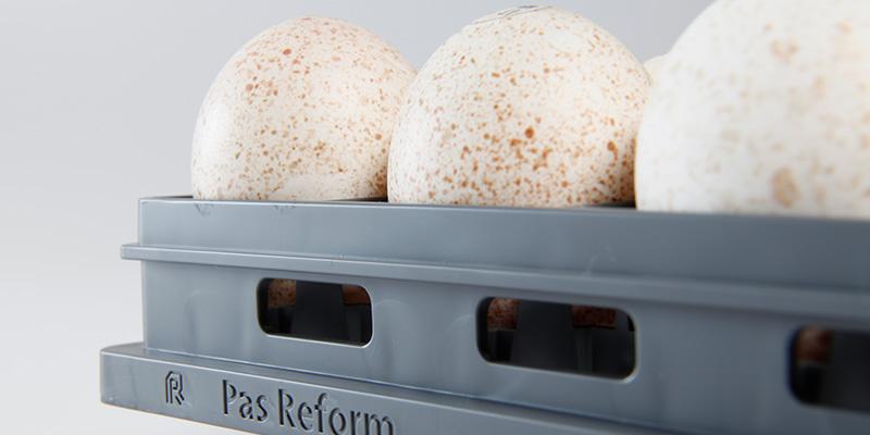 SmartTray™ 126 for turkey