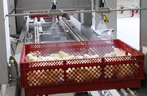 Gran problema – solución simple