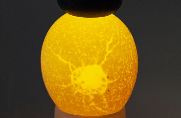 A quick breeder farm visit