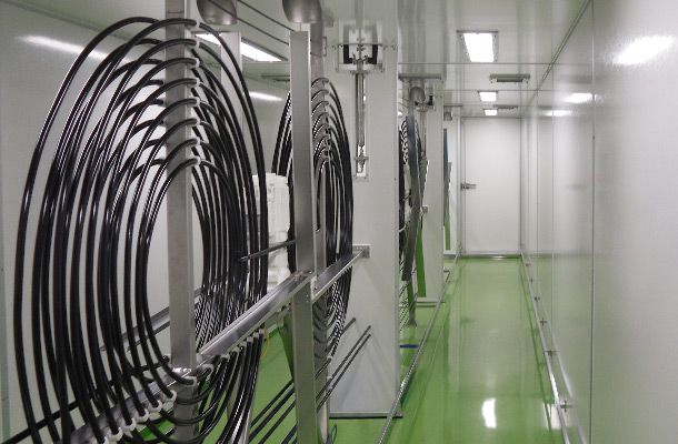 НИИВС в Санкт-Петербурге создает центр разработки вакцин против гриппа мирового уровня