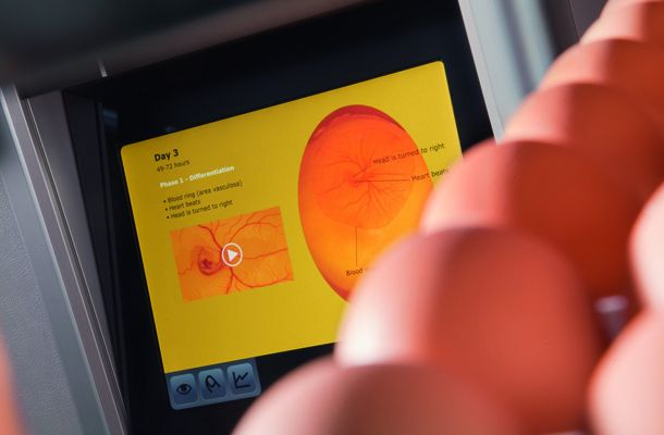 Cargill trial Adaptive Metabolic Feedback™