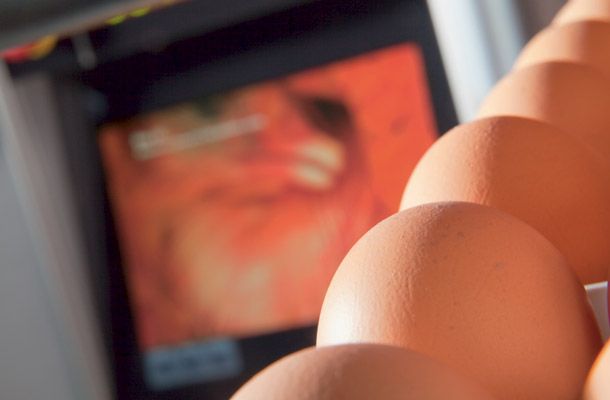 Ajustando a ventilação