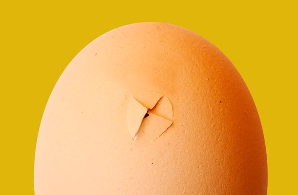 Закладка яйца воздушной камерой вверх!