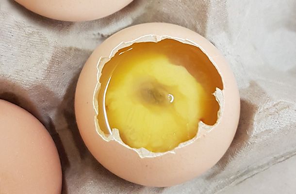 Analysing embryo mortality