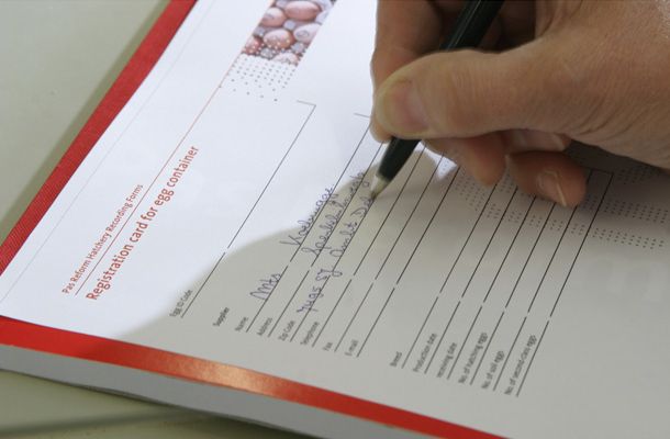 El análisis de datos: Un camino primordial para mejorar el índice de nacimientos