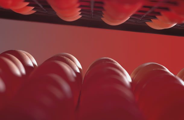 Как найти оптимальную температуру инкубации