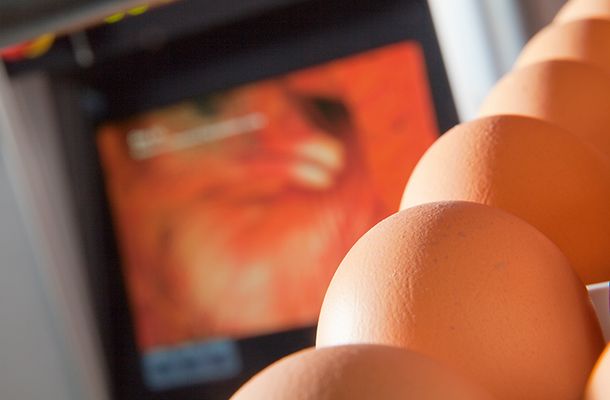 GAPESA集团选择Pas Reform在墨西哥提供新型GPS孵化场