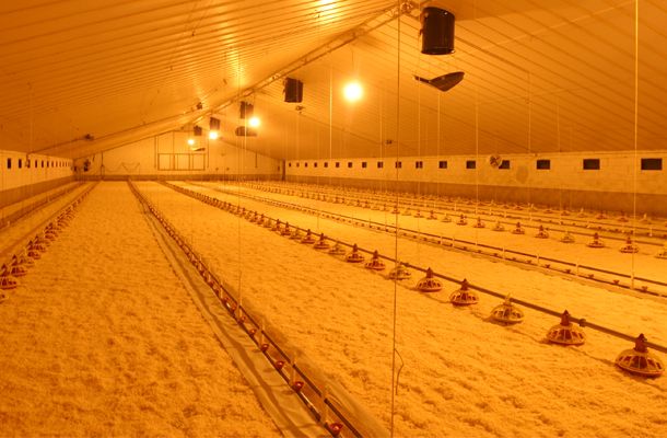 Where to put the paper?