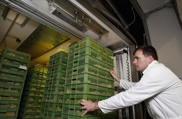 Улучшение условий транспортировки