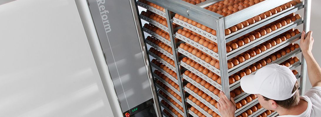Koktas-Actobe expands hatchery with SmartPro™ from Pas Reform