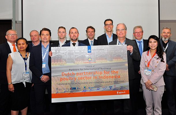 荷兰公司联手支持印尼家禽业的发展