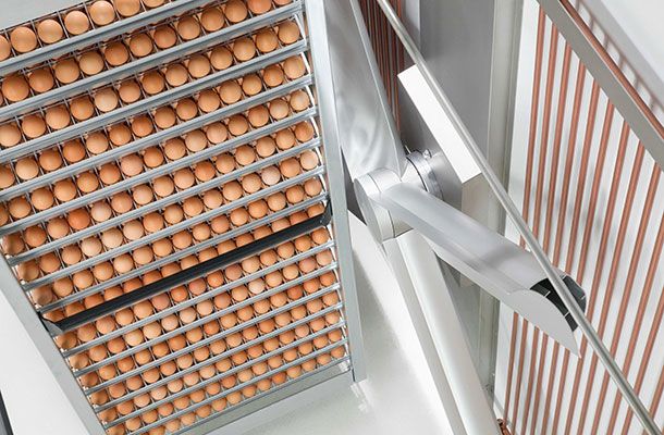 Cómo equilibrar la carga de las incubadoras para obtener mejores resultados