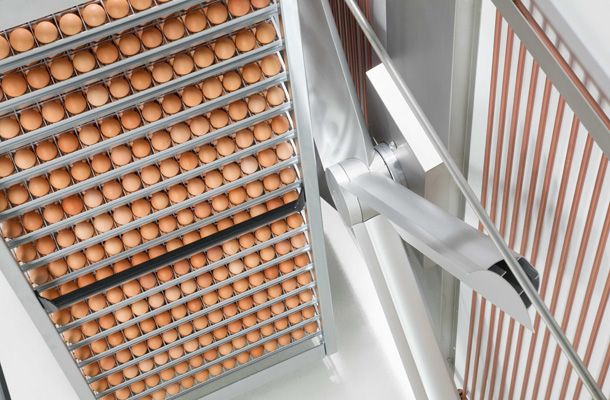 Nutrypollo looks to the future with SmartPro™ incubators