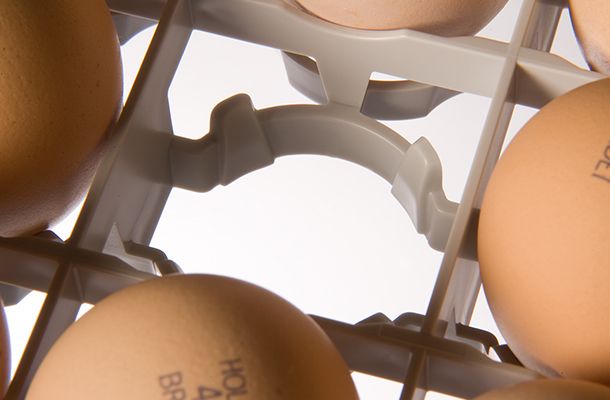 Embandejar na granja: é uma boa ideia?