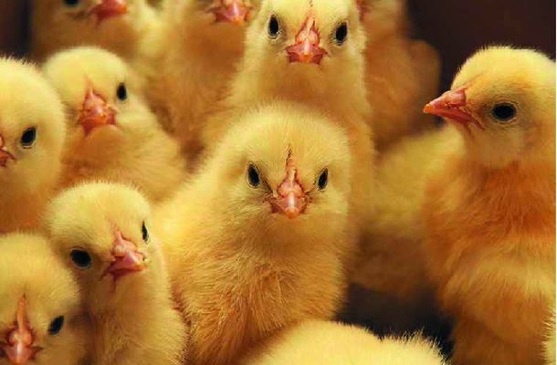 "On Monday they are ..."