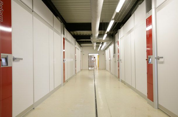 Perfil ideal de perda de peso durante a incubação