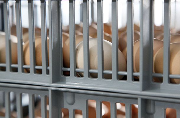 Оптимизация условий в выводном шкафу