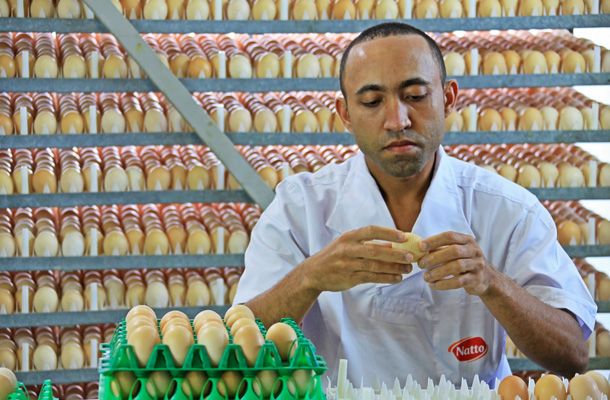 Pas Reform do Brasil’s expansion continues with green field project for Frango Natto