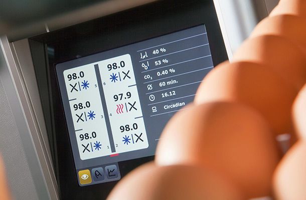 Protocolo de resolución de problemas de incubación