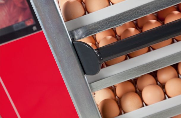 Pas Reform delivers growth for Sarawak’s poultry integrations