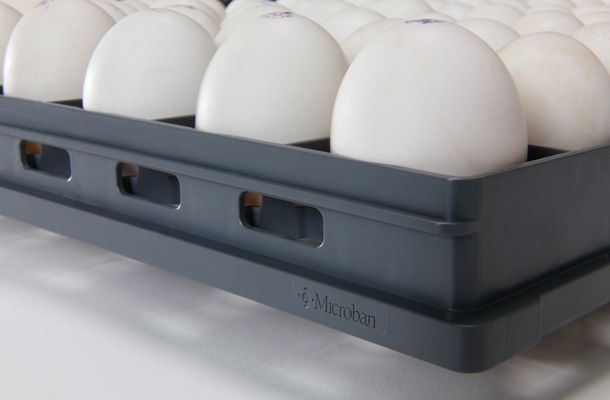 SmartTray™ a good fit for duck eggs