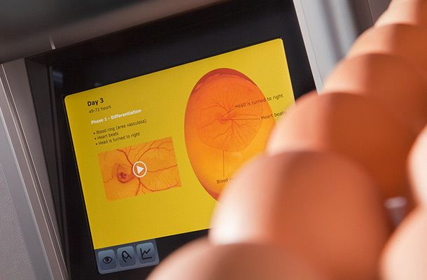 Thai Foods Group在Pas Reform的帮助下扩大经营规模