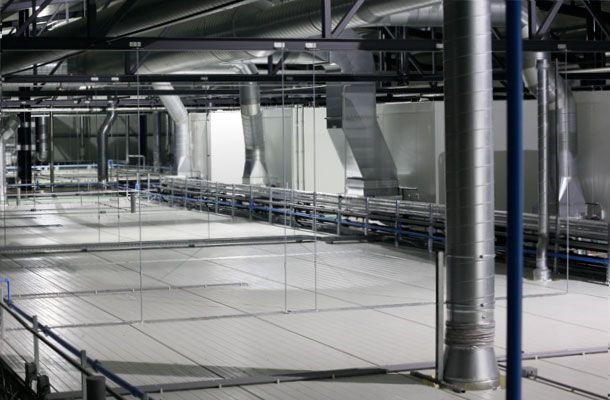 The importance of hatchery climate to chick quality