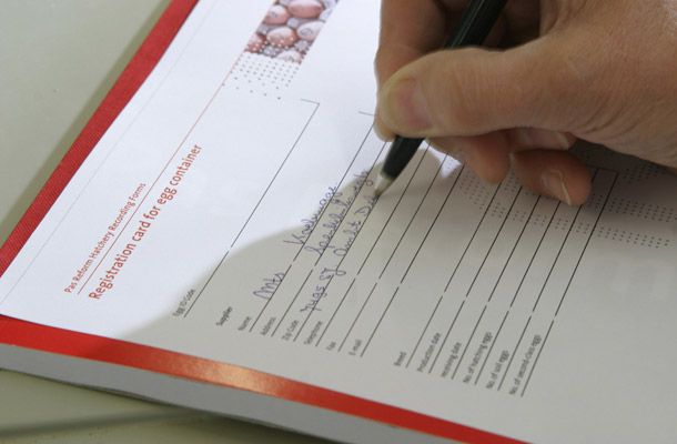 Melhorando a eclodibilidade e a qualidade do pinto