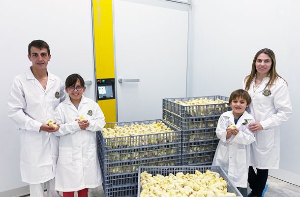Uruguay’s La Cabaña Avícola chooses Royal Pas Reform technologies for its first hatchery build