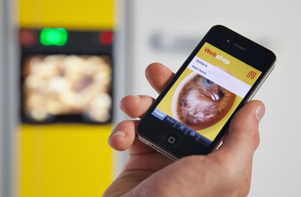 Webshop for spares: in a click, on the move