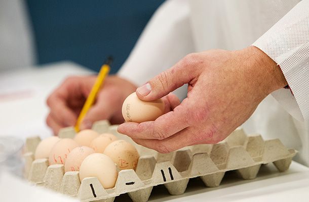 Training in the USA: hands-on knowledge sharing in hatchery management