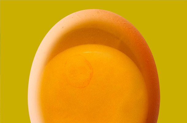 Huge early embryo mortality; a mystery solved