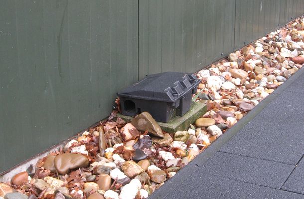 Control efectivo de roedores en criaderos y criaderos.